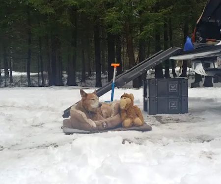 Barnes Field Group Campground