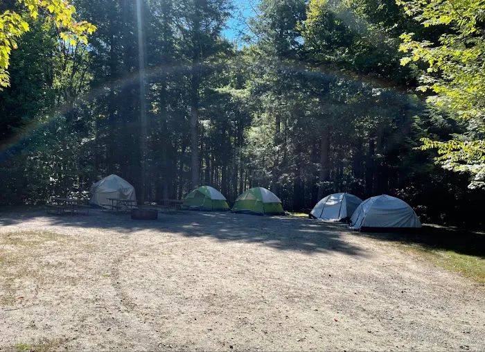 Barnes Field Group Campground Picture 8
