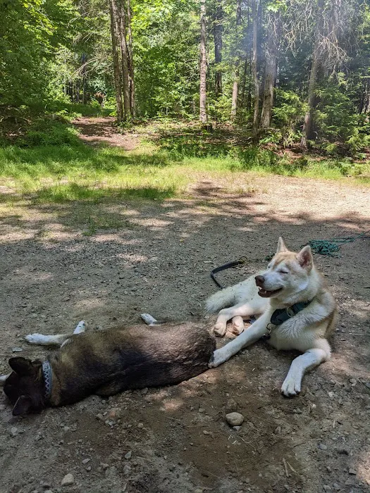 Barnes Field Group Campground Picture 5