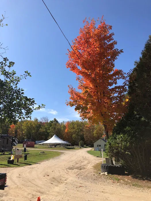 White Birches Camping Park Picture 8