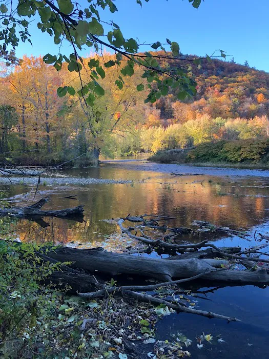 White Birches Camping Park Picture 6