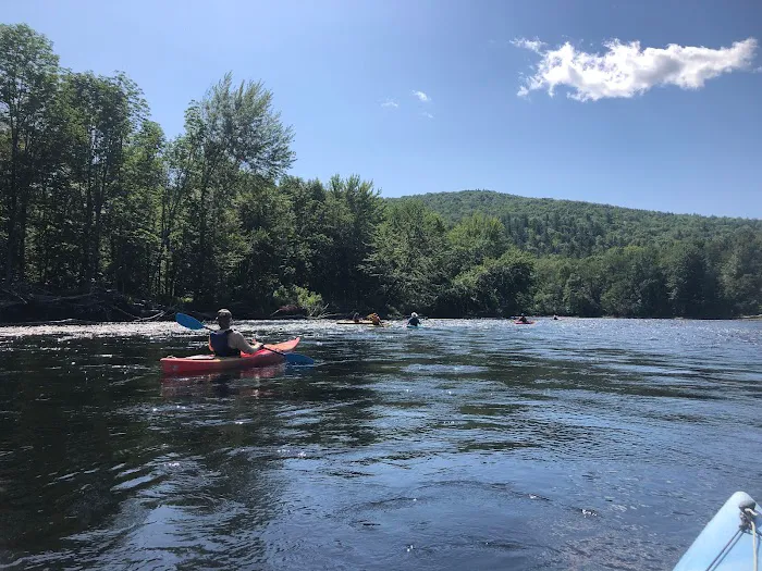 White Birches Camping Park Picture 9