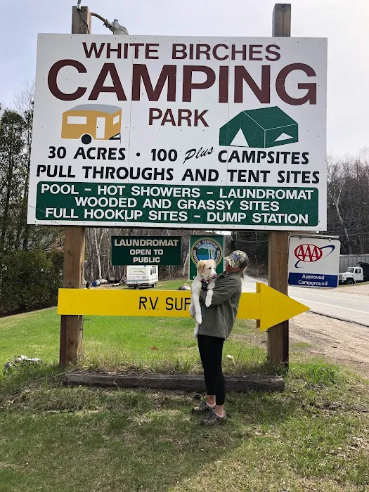 White Birches Camping Park Picture 1