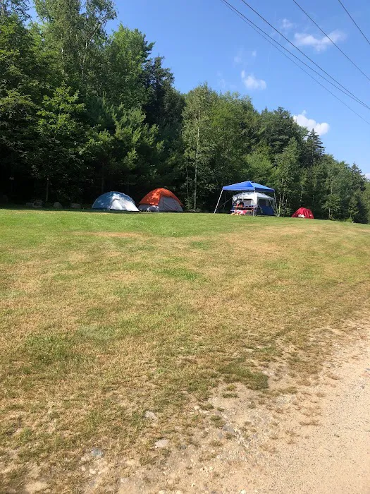 White Birches Camping Park Picture 5