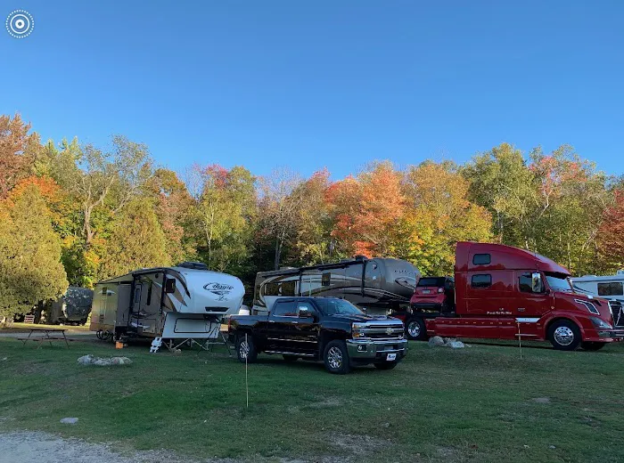 White Birches Camping Park Picture 4