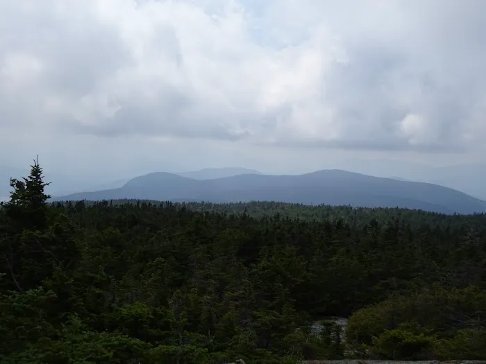 Gentian Pond Shelter Picture 6