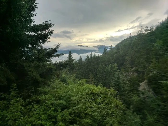 Gentian Pond Shelter Picture 3