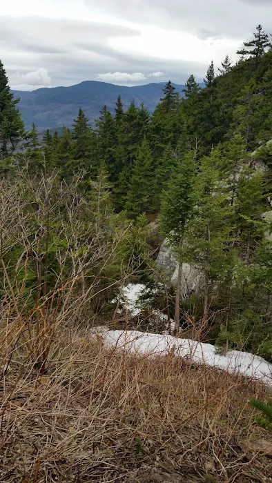 Gentian Pond Shelter Picture 5