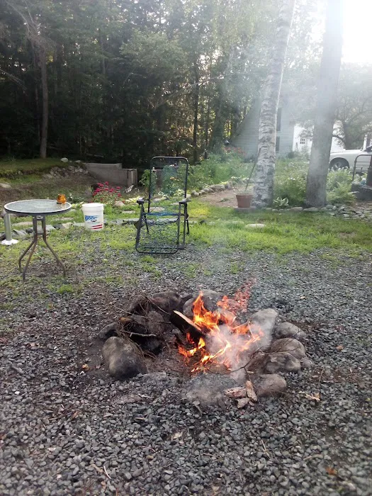 The Quantum Vortex Picture 2