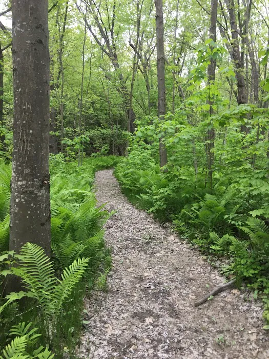 Timberland Campground Picture 2