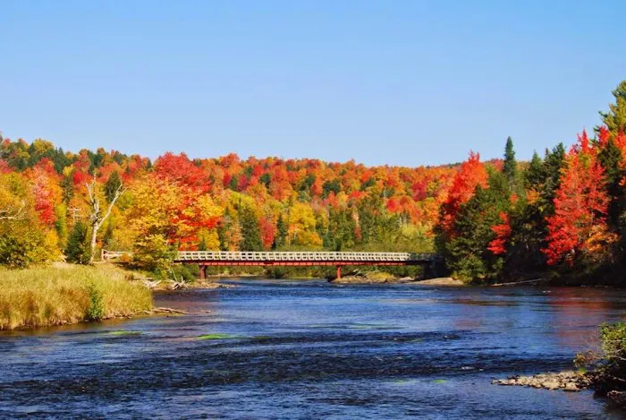 Timberland Campground Picture 9