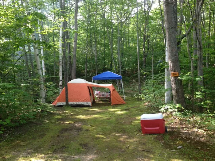 Timberland Campground Picture 6