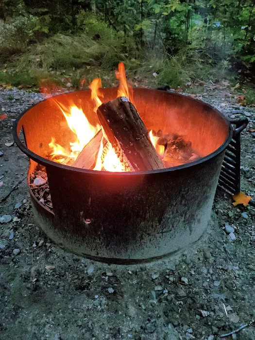 Dolly Copp Campground Picture 5