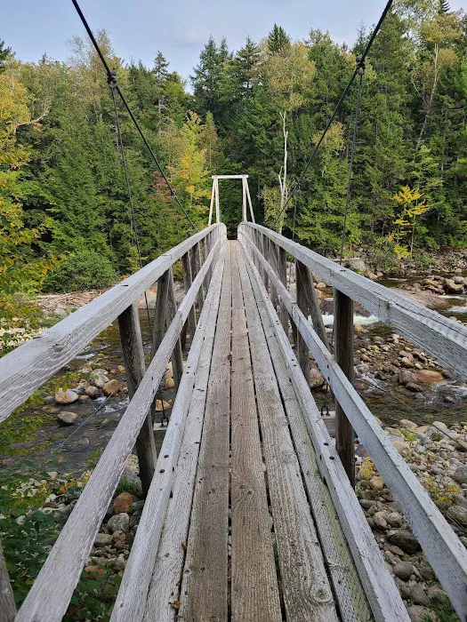 Dolly Copp Campground Picture 2