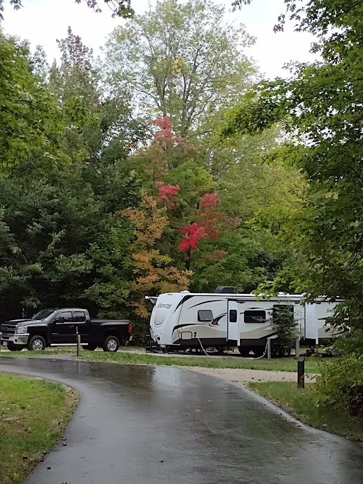 Dolly Copp Campground Picture 1