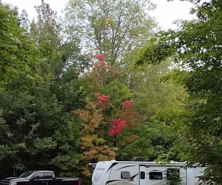 Dolly Copp Campground