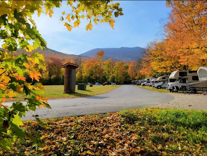 Dolly Copp Campground Picture 8