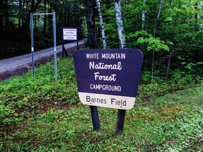 Dolly Copp Campground Picture 3