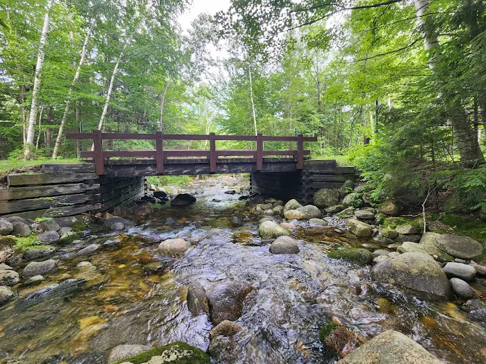 Dolly Copp Campground Picture 4