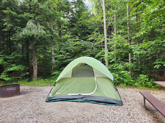 Dolly Copp Campground Picture 7