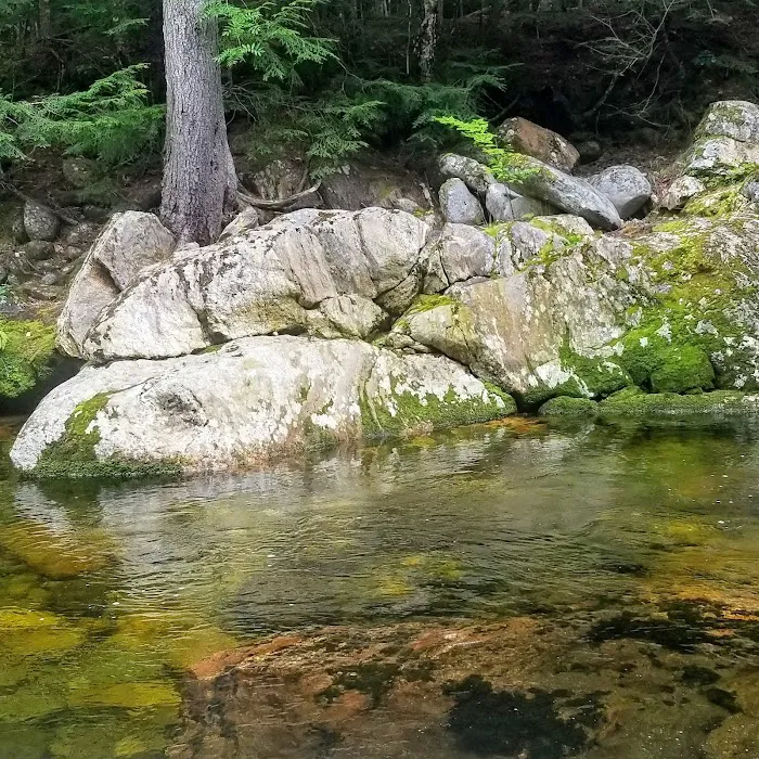 Great Gulf Link Trailhead Picture 10