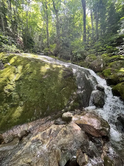 Imp Shelter Picture 10