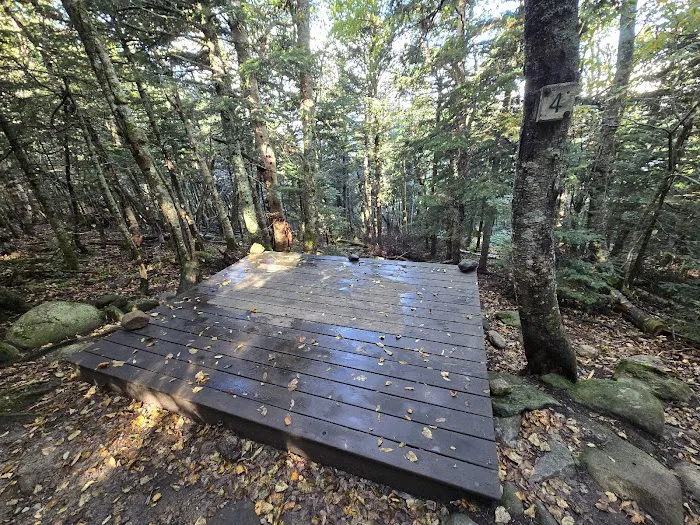 Imp Shelter Picture 4