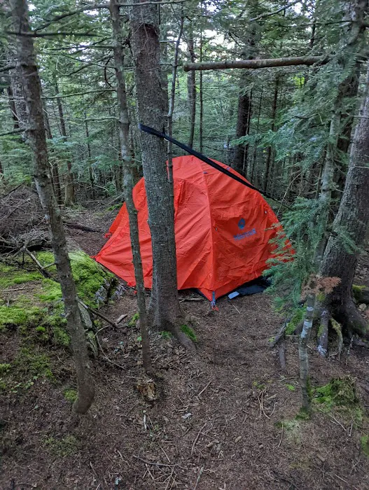 Imp Shelter Picture 7