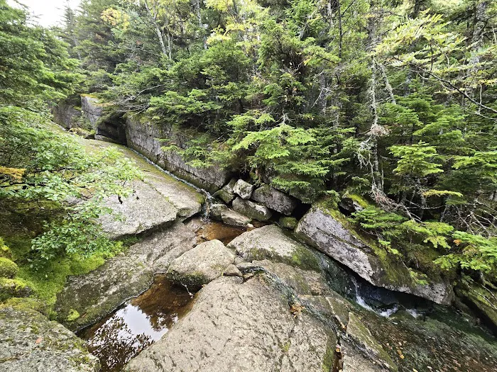 Imp Shelter Picture 3