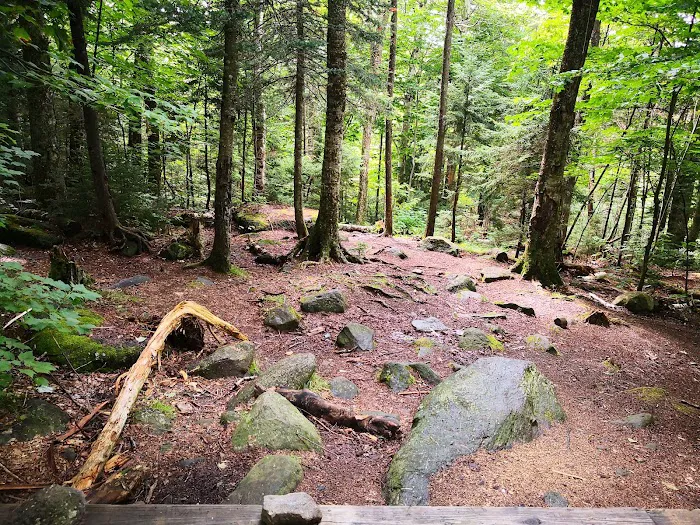 Osgood Tentsite Picture 8