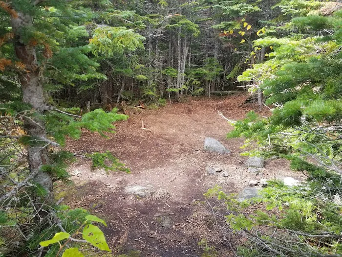 Osgood Tentsite Picture 5