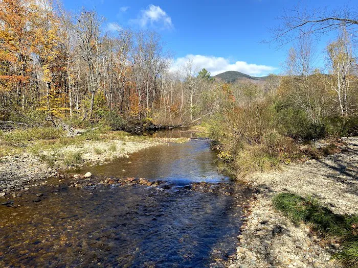 Grafton Notch Campground Picture 8