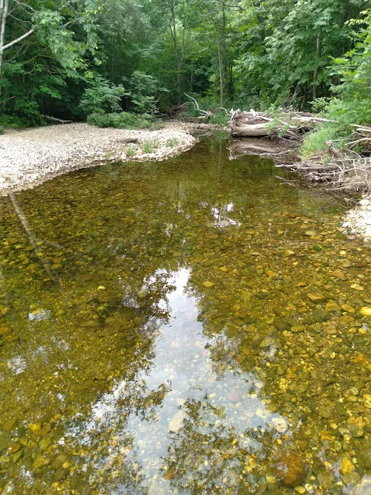 Grafton Notch Campground Picture 1