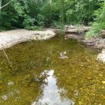 Grafton Notch Campground