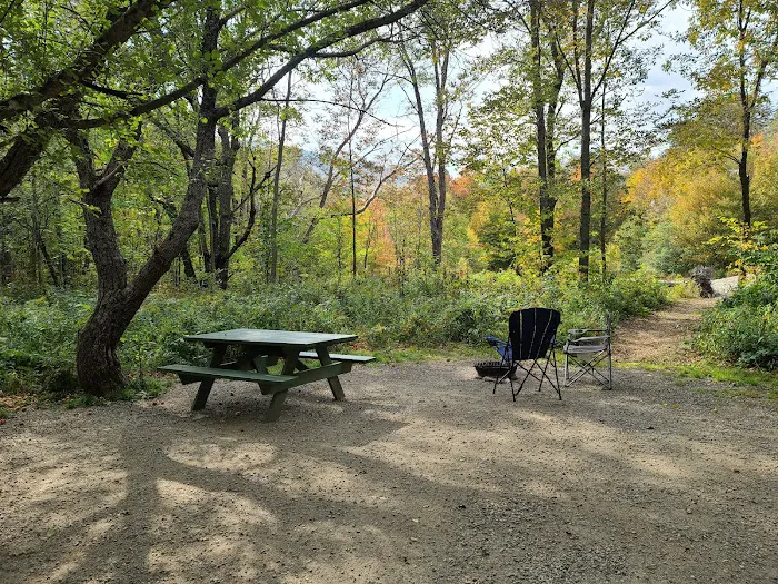 Grafton Notch Campground Picture 7