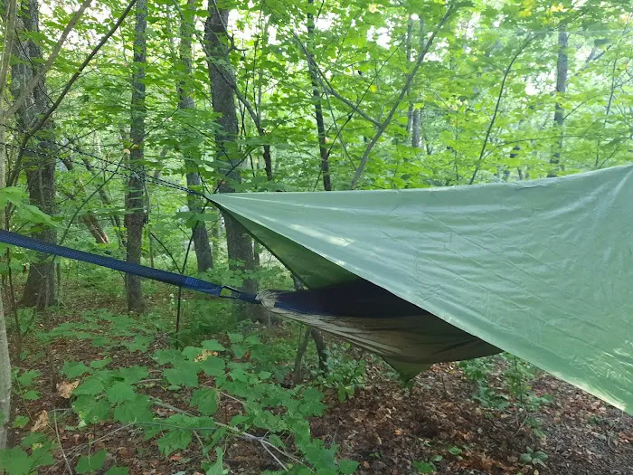 Grafton Notch Campground Picture 5