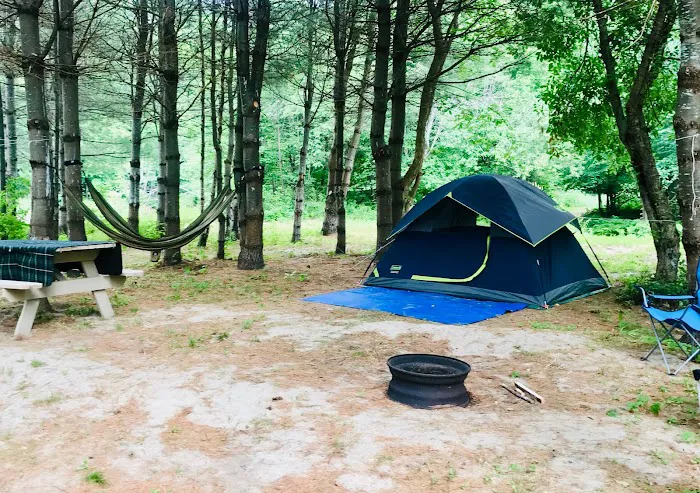 Lone Mountain Riverfront Campground Picture 4