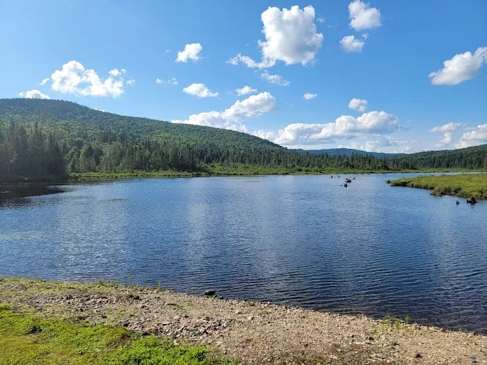 Deer Mountain Campground Picture 4