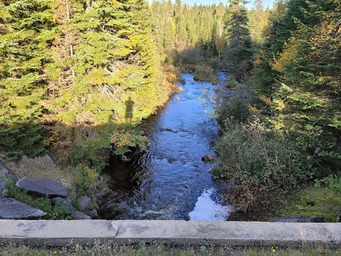 Deer Mountain Campground Picture 6