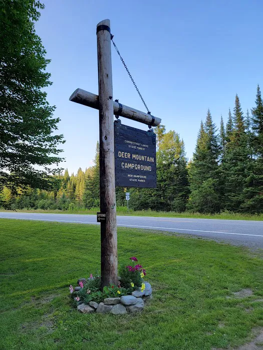 Deer Mountain Campground Picture 5