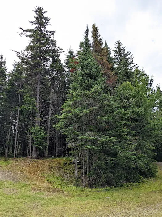 Deer Mountain Campground Picture 9