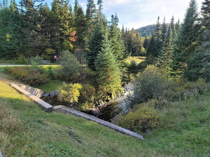 Deer Mountain Campground Picture 10