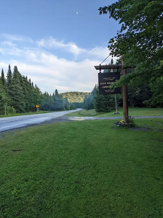 Deer Mountain Campground Picture 3