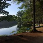 Acres of Wildlife Campground