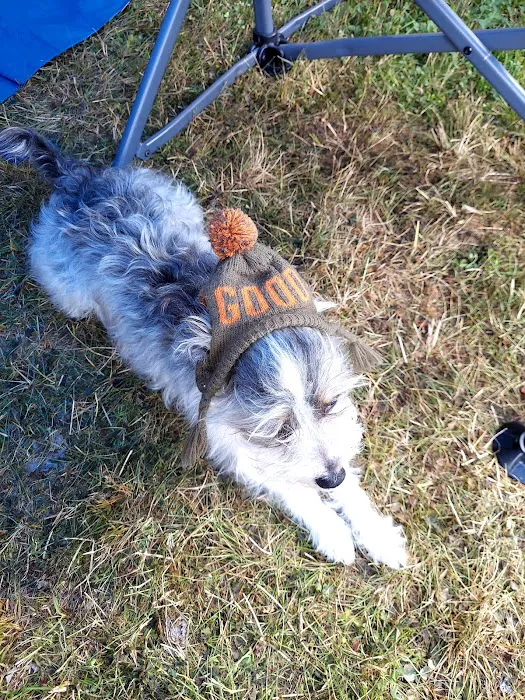 River Run Campground & Canoe Rental Picture 8