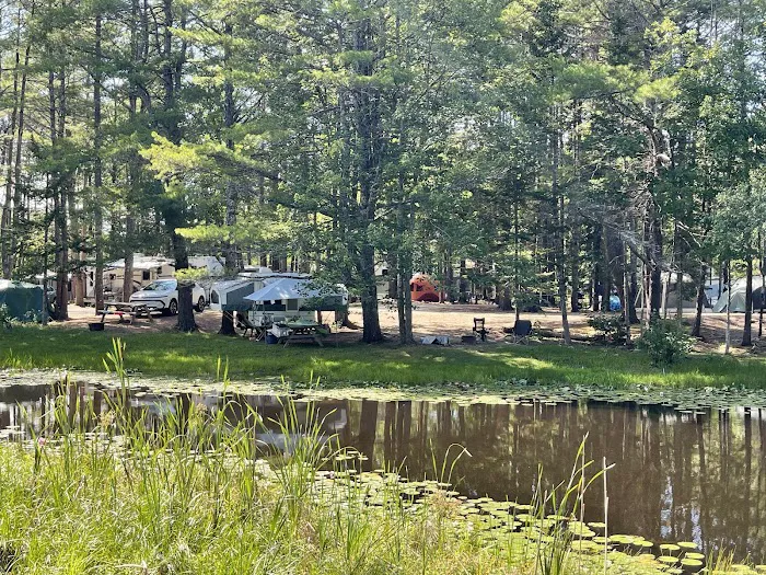 Ocean Pines Campground Picture 8