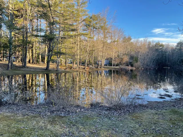 Ocean Pines Campground Picture 3