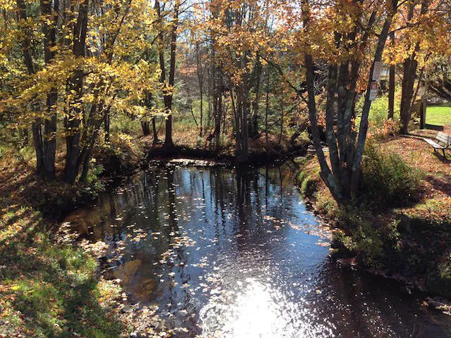 Old Orchard Beach Campground Picture 6