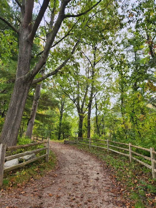 Silver Springs Campground Picture 9