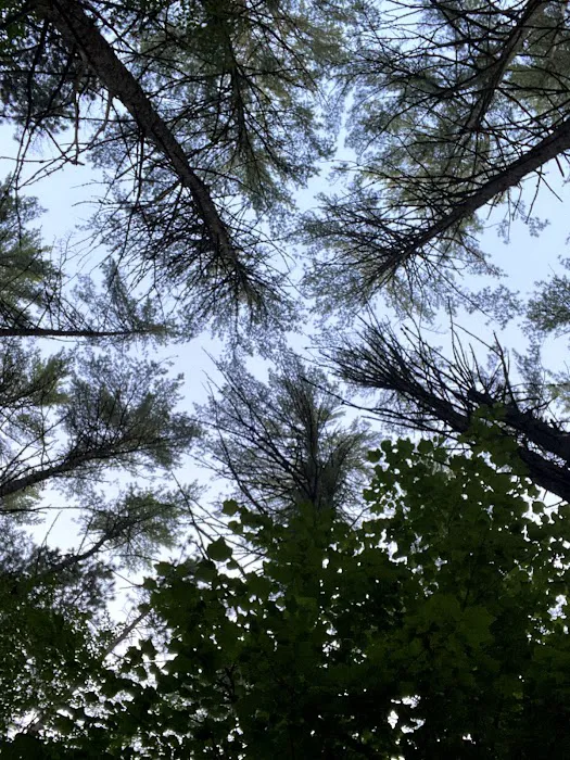 Swan's Falls Campground and Canoe Access Picture 3